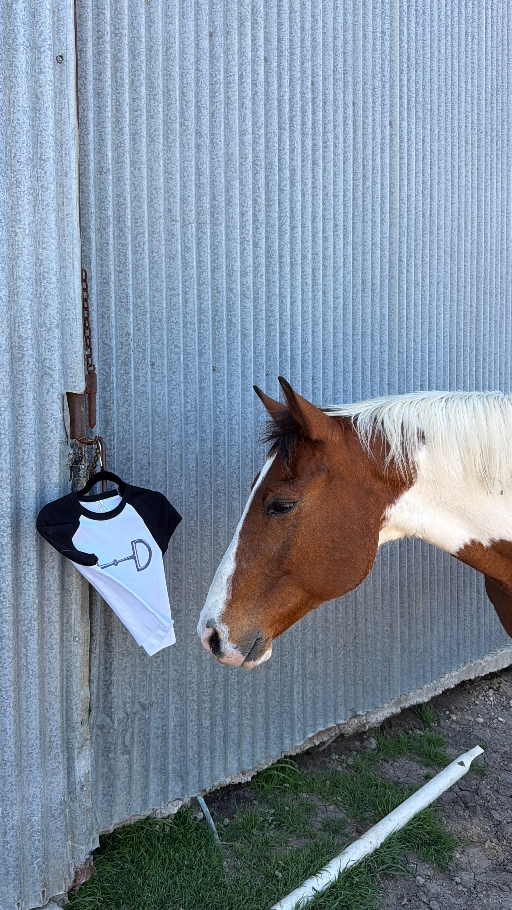 The Snaffle Bit Tee