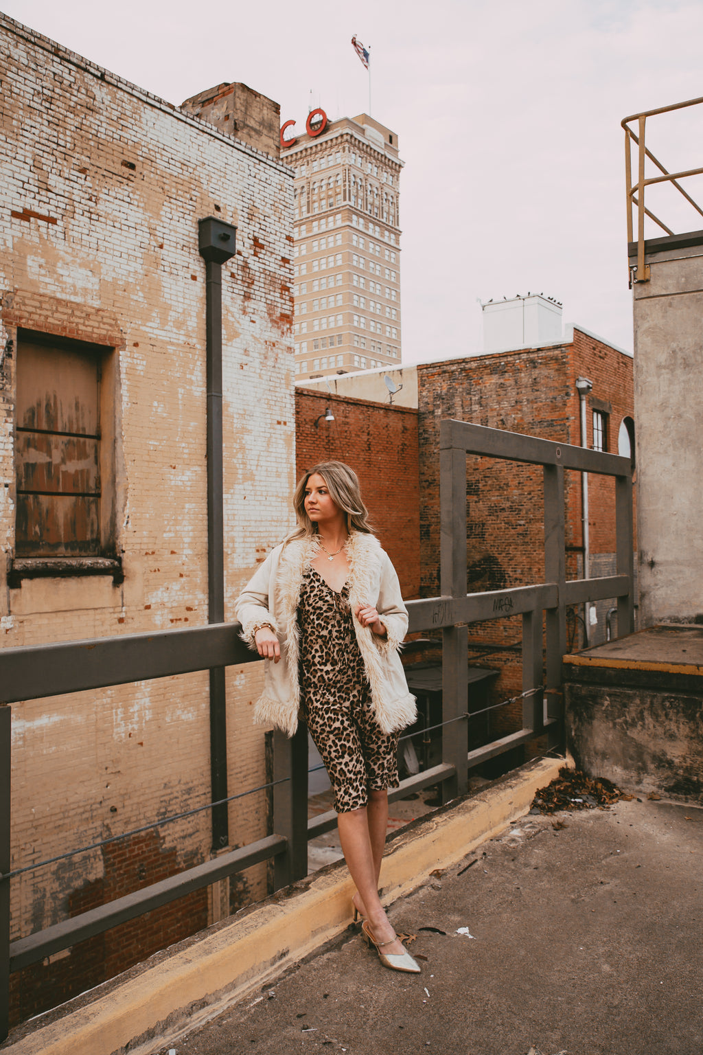 The City Spots Dress