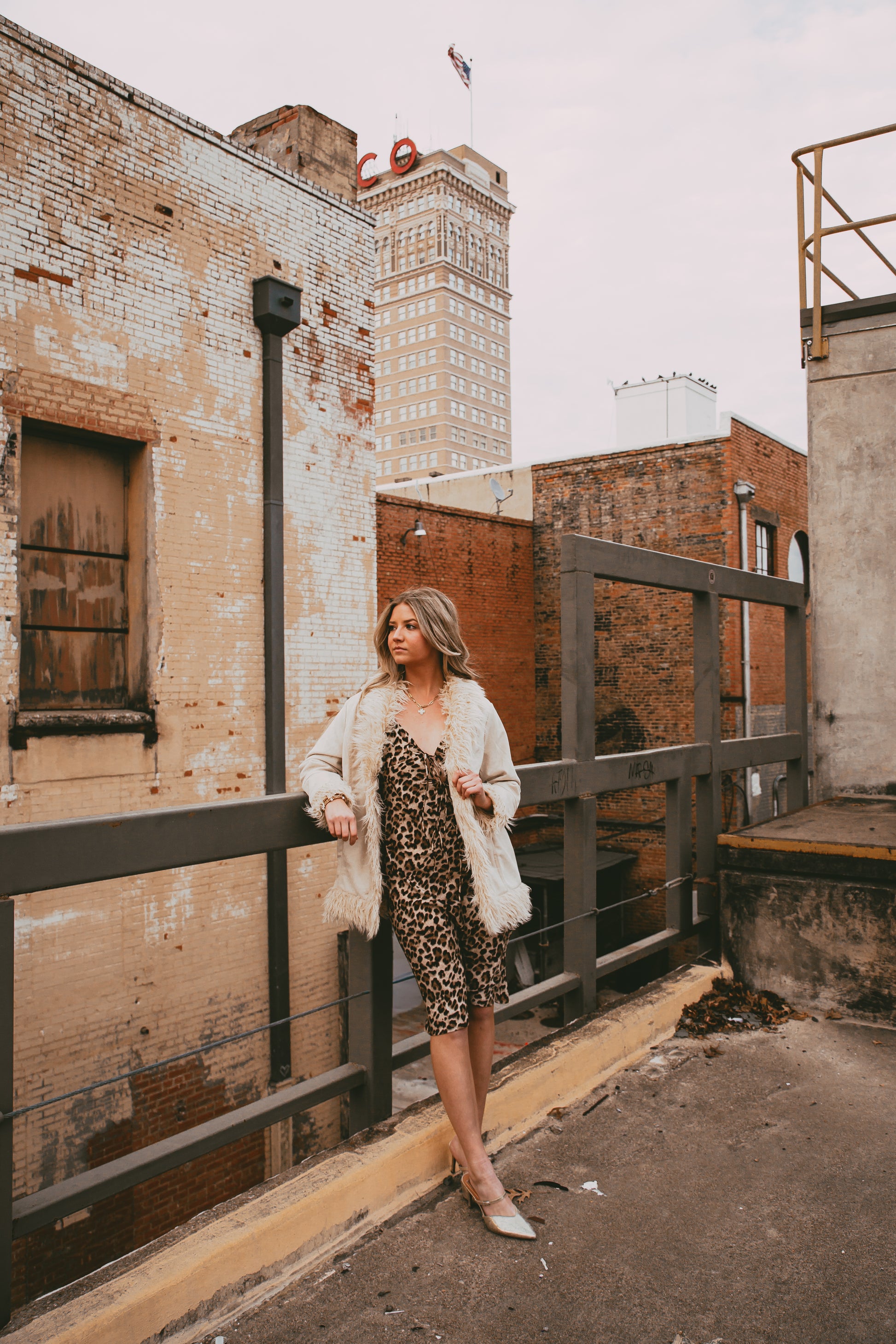 The City Spots Dress