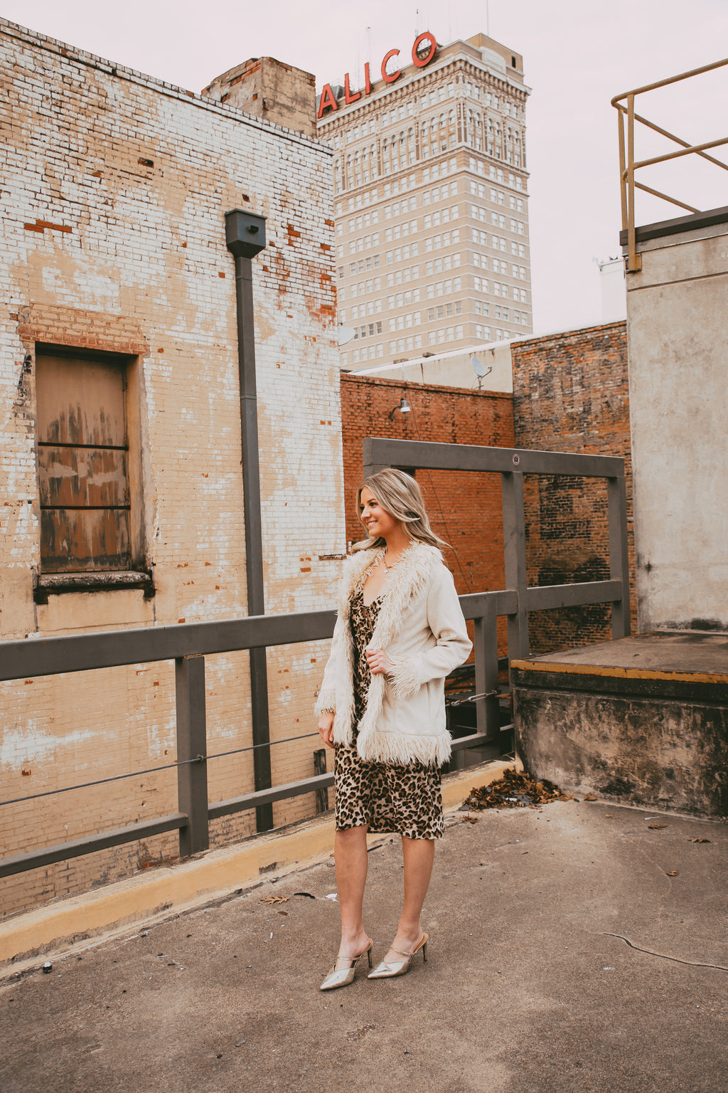 The City Spots Dress