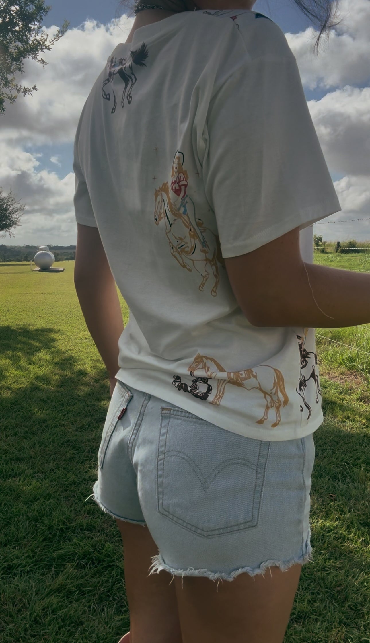 The Painted Pony Tee