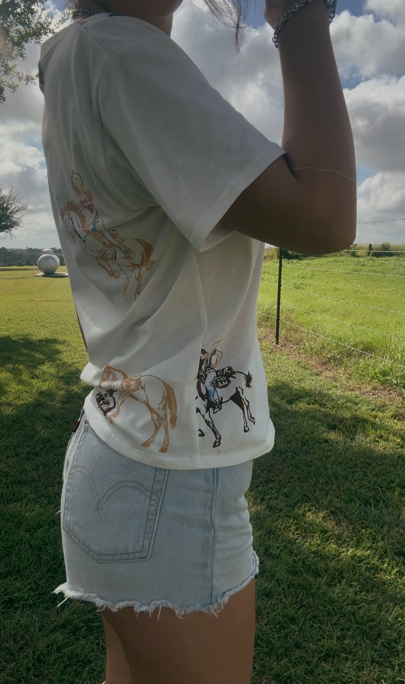 The Painted Pony Tee