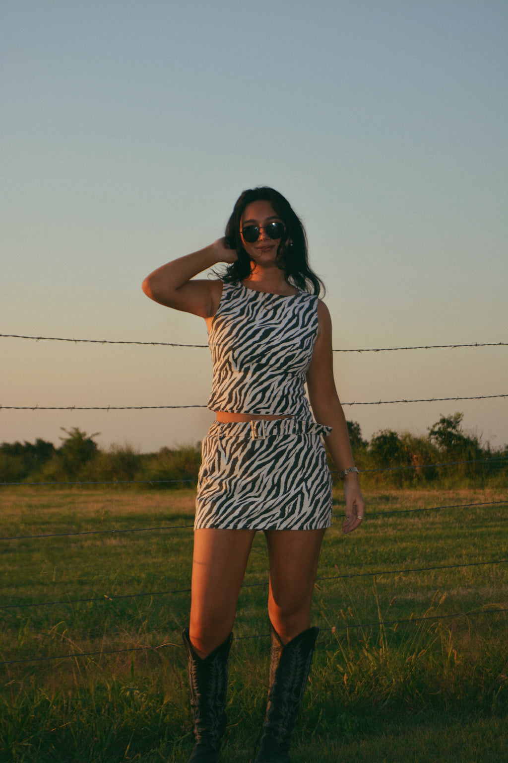 The Zebra Muse Mini